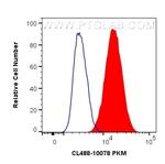 PKM Antibody in Flow Cytometry (Flow)