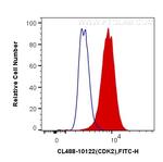 CDK2 Antibody in Flow Cytometry (Flow)