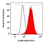 CPLX1 Antibody in Flow Cytometry (Flow)