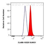 SUMO1 Antibody in Flow Cytometry (Flow)