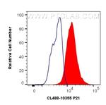 P21 Antibody in Flow Cytometry (Flow)