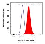 JUNB Antibody in Flow Cytometry (Flow)
