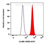 NCS1 Antibody in Flow Cytometry (Flow)