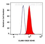 SDHB Antibody in Flow Cytometry (Flow)
