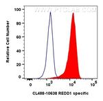 REDD1 Antibody in Flow Cytometry (Flow)
