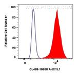 AHCYL1 Antibody in Flow Cytometry (Flow)