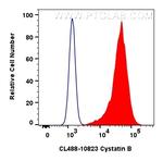 Cystatin B Antibody in Flow Cytometry (Flow)
