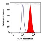 MYL3 Antibody in Flow Cytometry (Flow)