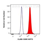 HSP70 Antibody in Flow Cytometry (Flow)