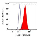 MMAB Antibody in Flow Cytometry (Flow)