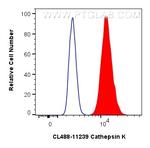 Cathepsin K Antibody in Flow Cytometry (Flow)