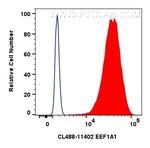 EEF1A1 Antibody in Flow Cytometry (Flow)