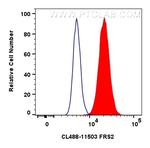 FRS2 Antibody in Flow Cytometry (Flow)