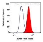ASCC2 Antibody in Flow Cytometry (Flow)