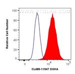 DGKA Antibody in Flow Cytometry (Flow)
