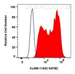 SAFB2 Antibody in Flow Cytometry (Flow)