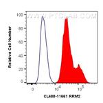 RRM2 Antibody in Flow Cytometry (Flow)