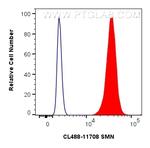 SMN Antibody in Flow Cytometry (Flow)