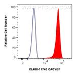 CACYBP Antibody in Flow Cytometry (Flow)