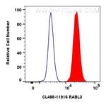 RABL3 Antibody in Flow Cytometry (Flow)