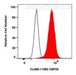 CBP20 Antibody in Flow Cytometry (Flow)