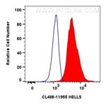 HELLS Antibody in Flow Cytometry (Flow)