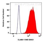 EMG1 Antibody in Flow Cytometry (Flow)