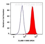 URG4 Antibody in Flow Cytometry (Flow)