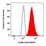 PBXIP1 Antibody in Flow Cytometry (Flow)