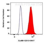 KIN17 Antibody in Flow Cytometry (Flow)