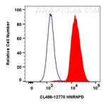 HNRNPD Antibody in Flow Cytometry (Flow)