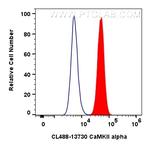 CaMKII alpha Antibody in Flow Cytometry (Flow)