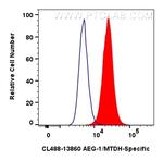 AEG-1/MTDH Antibody in Flow Cytometry (Flow)