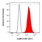 Talin-1 Antibody in Flow Cytometry (Flow)