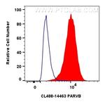 PARVB Antibody in Flow Cytometry (Flow)
