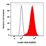 RABEP2 Antibody in Flow Cytometry (Flow)