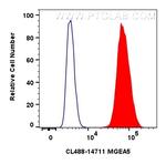 MGEA5 Antibody in Flow Cytometry (Flow)