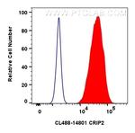 CRIP2 Antibody in Flow Cytometry (Flow)