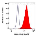 LPCAT2 Antibody in Flow Cytometry (Flow)