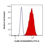 RABEPK/p40 Antibody in Flow Cytometry (Flow)
