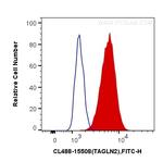Transgelin-2 Antibody in Flow Cytometry (Flow)