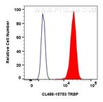 TRBP Antibody in Flow Cytometry (Flow)