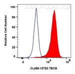 TBCB Antibody in Flow Cytometry (Flow)