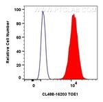 TOE1 Antibody in Flow Cytometry (Flow)