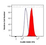 XPA Antibody in Flow Cytometry (Flow)