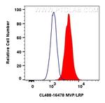 MVP/LRP Antibody in Flow Cytometry (Flow)