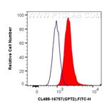 GPT2 Antibody in Flow Cytometry (Flow)