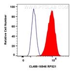 RPS21 Antibody in Flow Cytometry (Flow)