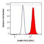 LZTFL1 Antibody in Flow Cytometry (Flow)