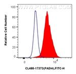PADI4 Antibody in Flow Cytometry (Flow)